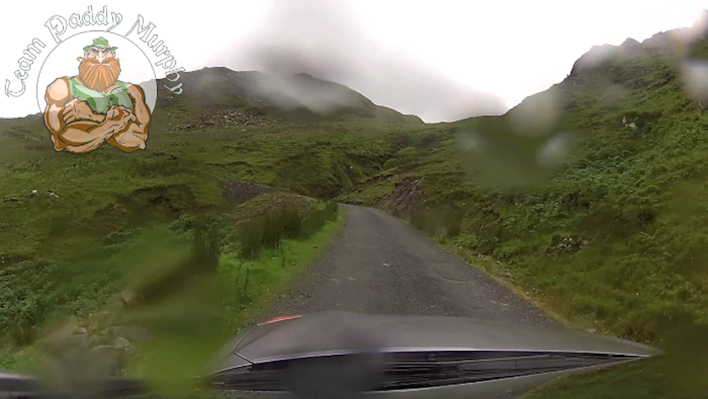 Paddy's natural habitat